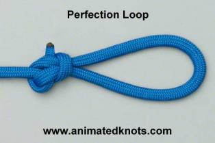 perfection_loop_knot